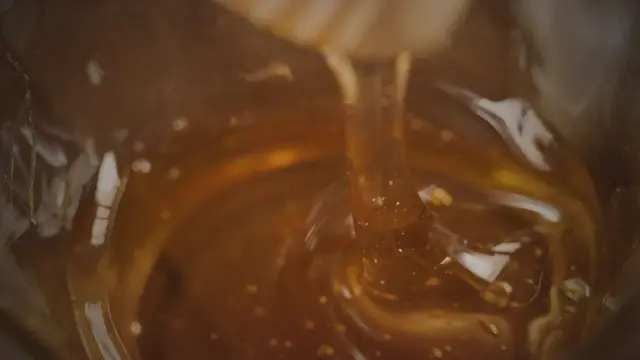 Material de banco: un cazamieles saliendo del tarro.